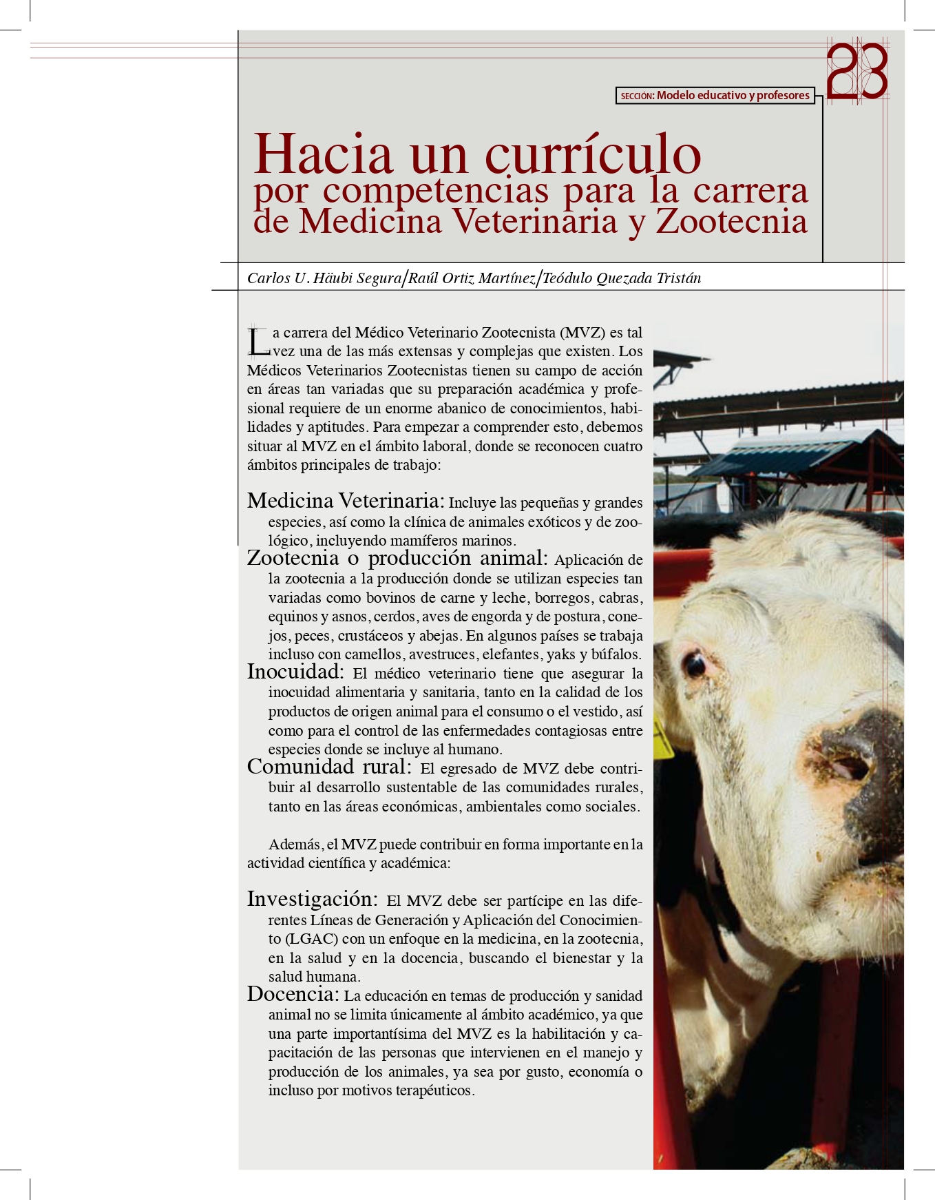 imagen-artículo